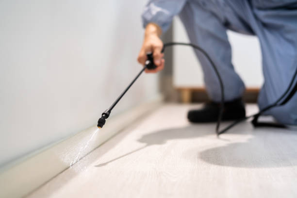 Rodent Entry Point Assessment in Fallon