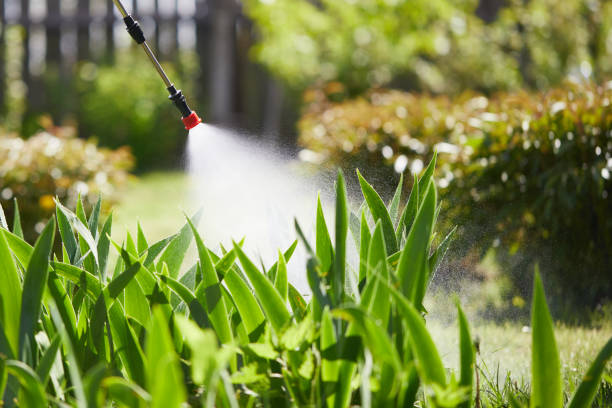 Tamper-Resistant Bait Stations for Rodents in Fallon