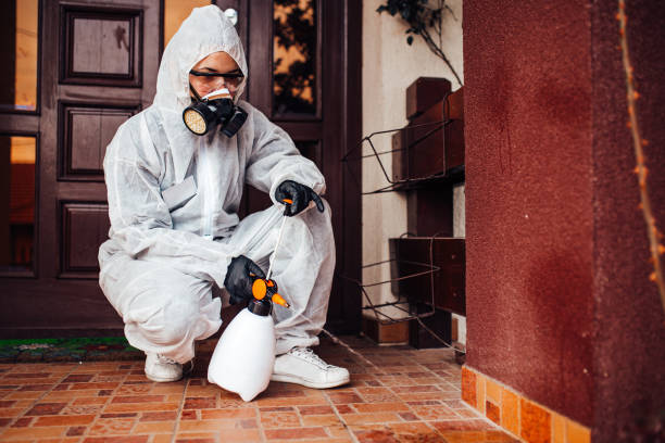 Attic and Crawl Space Rodent Treatment in Fallon
